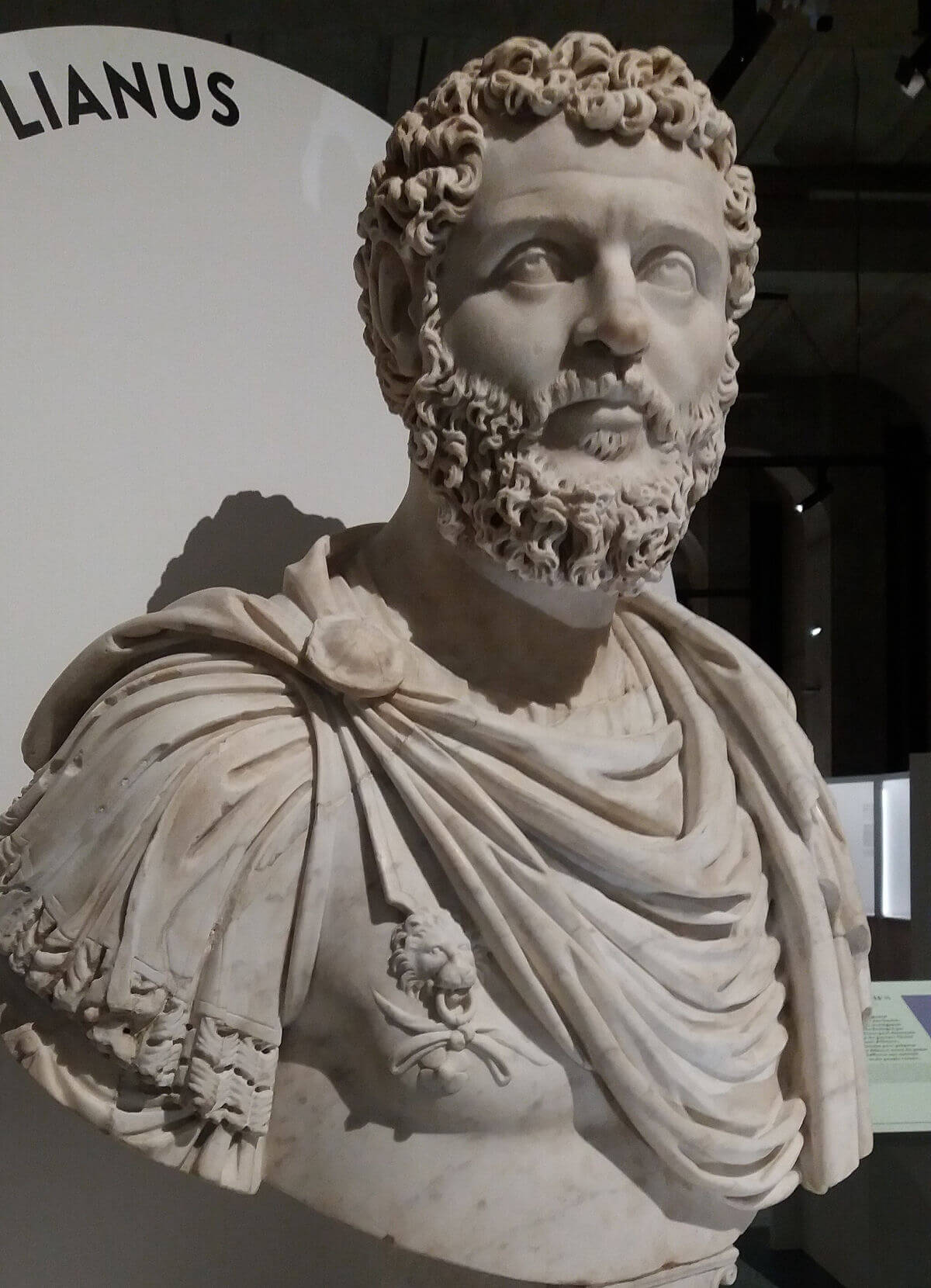 A bust of the Roman emperor Didius Julianus