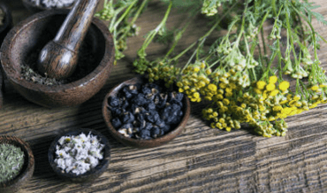 A selection of natural ingredients for making balms and ointments