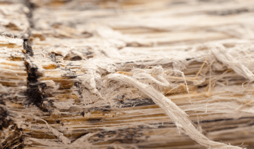 Asbestos fibers